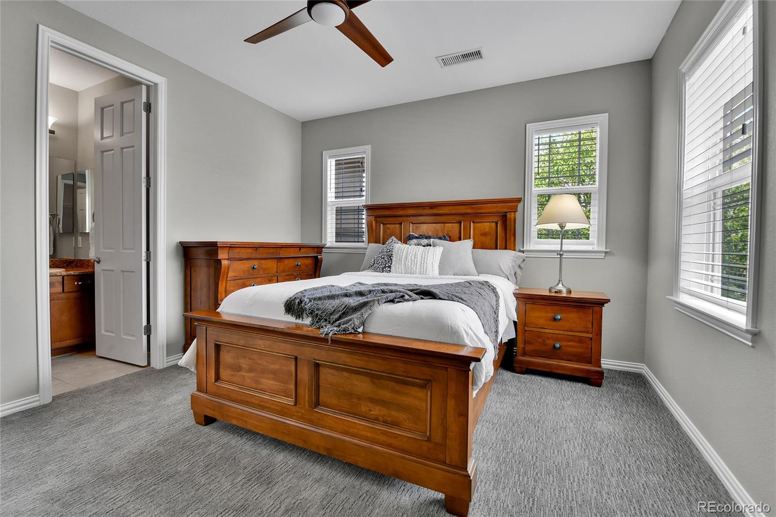 MLS Image #24 for 288  maplehurst point,highlands ranch, Colorado