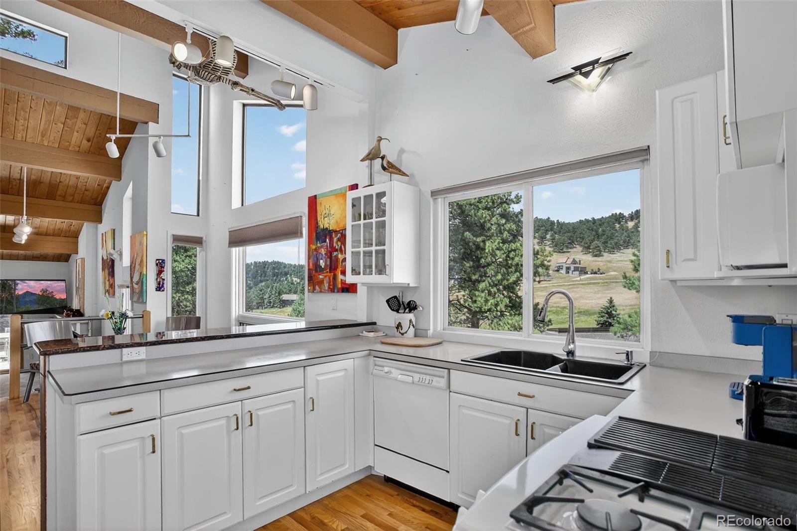 MLS Image #8 for 24376  currant drive ,golden, Colorado