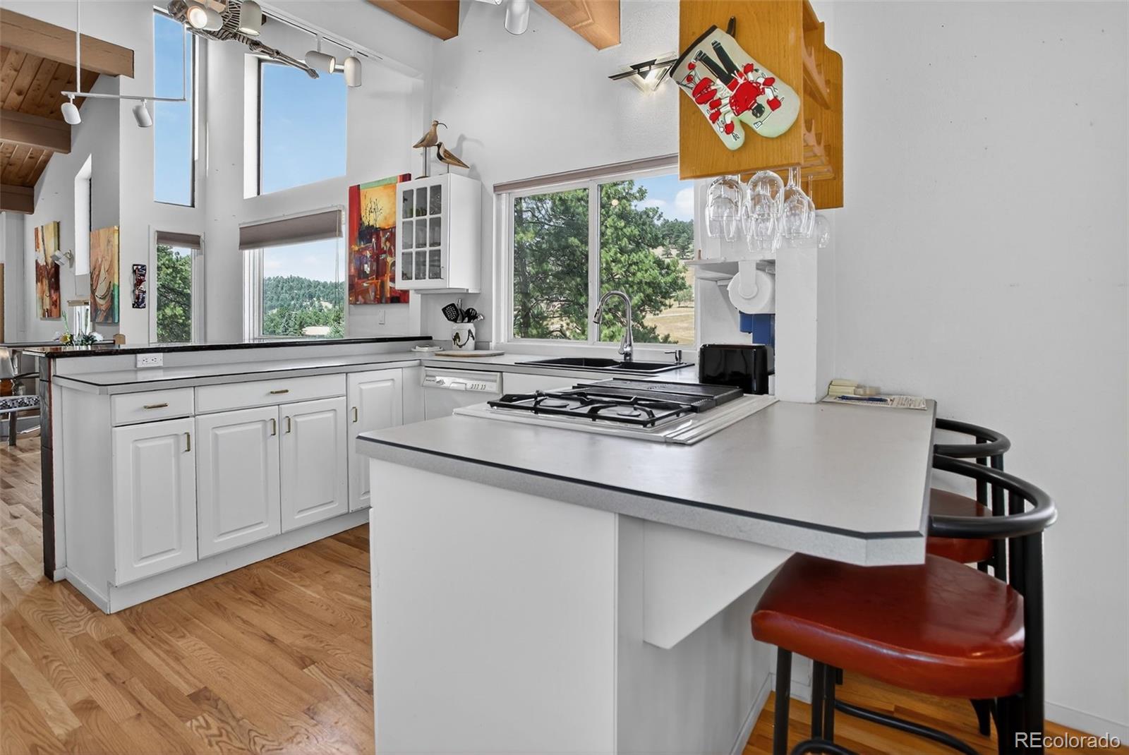 MLS Image #9 for 24376  currant drive ,golden, Colorado