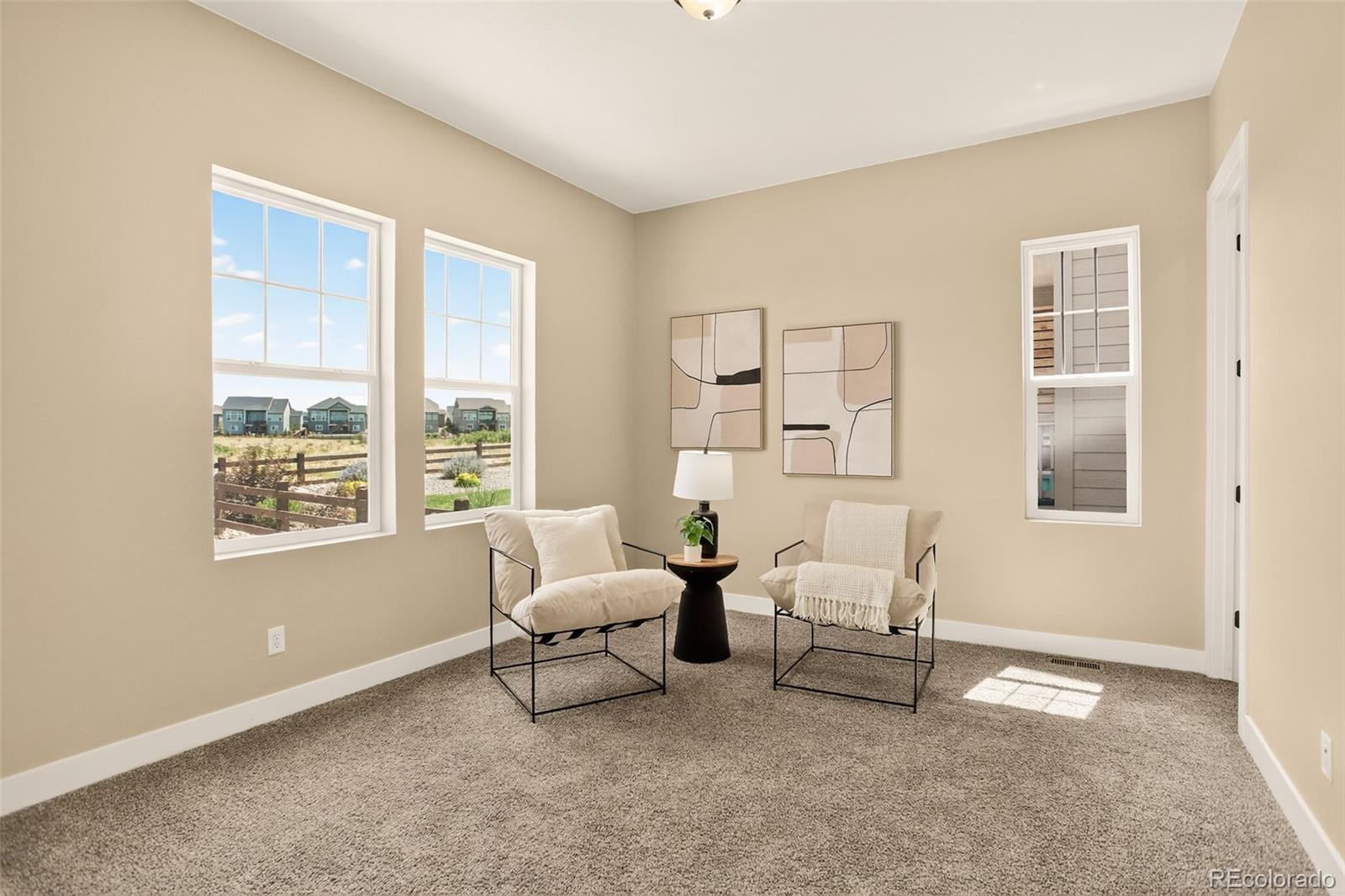 MLS Image #17 for 3093  carabiner street,castle rock, Colorado