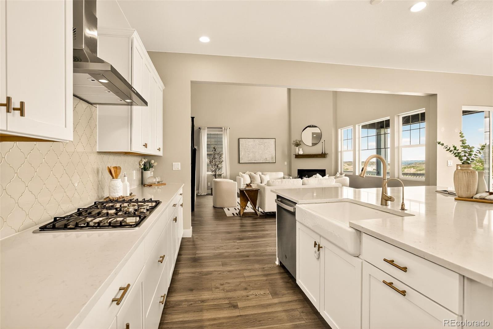 MLS Image #3 for 3093  carabiner street,castle rock, Colorado