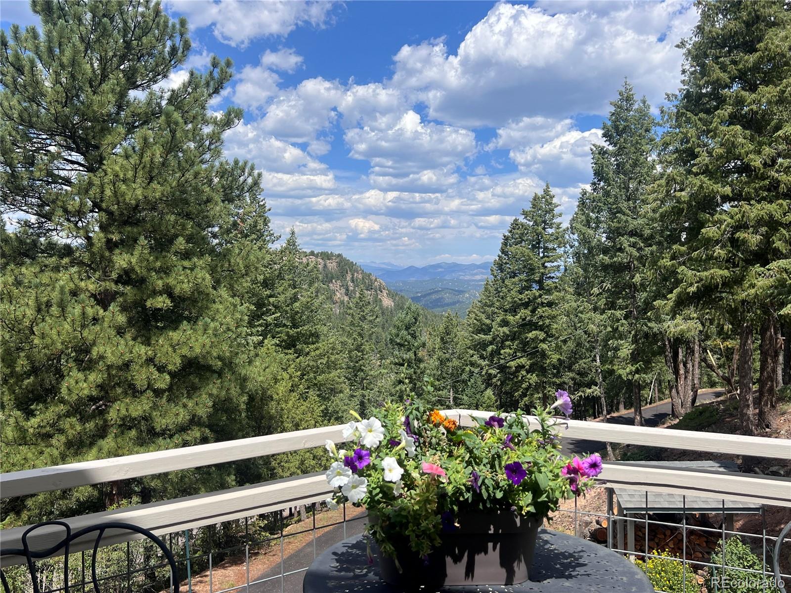 MLS Image #1 for 6684  olympus drive,evergreen, Colorado