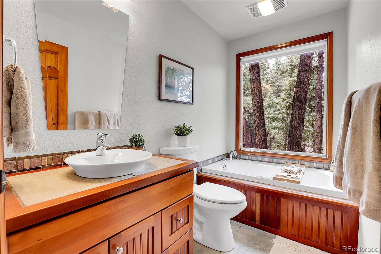 MLS Image #22 for 6684  olympus drive,evergreen, Colorado