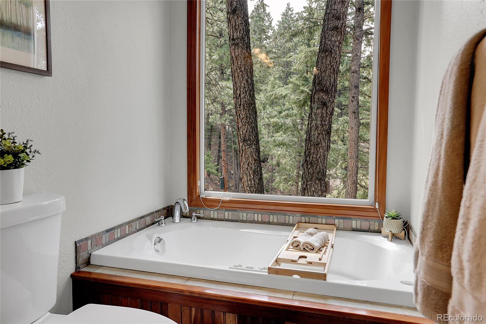 MLS Image #23 for 6684  olympus drive,evergreen, Colorado