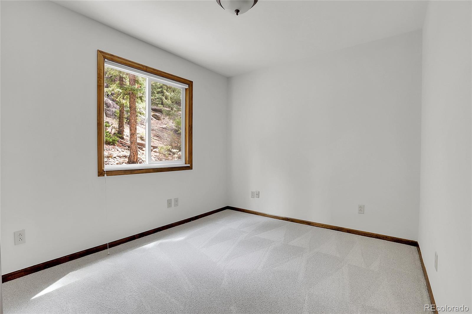 MLS Image #24 for 6684  olympus drive,evergreen, Colorado