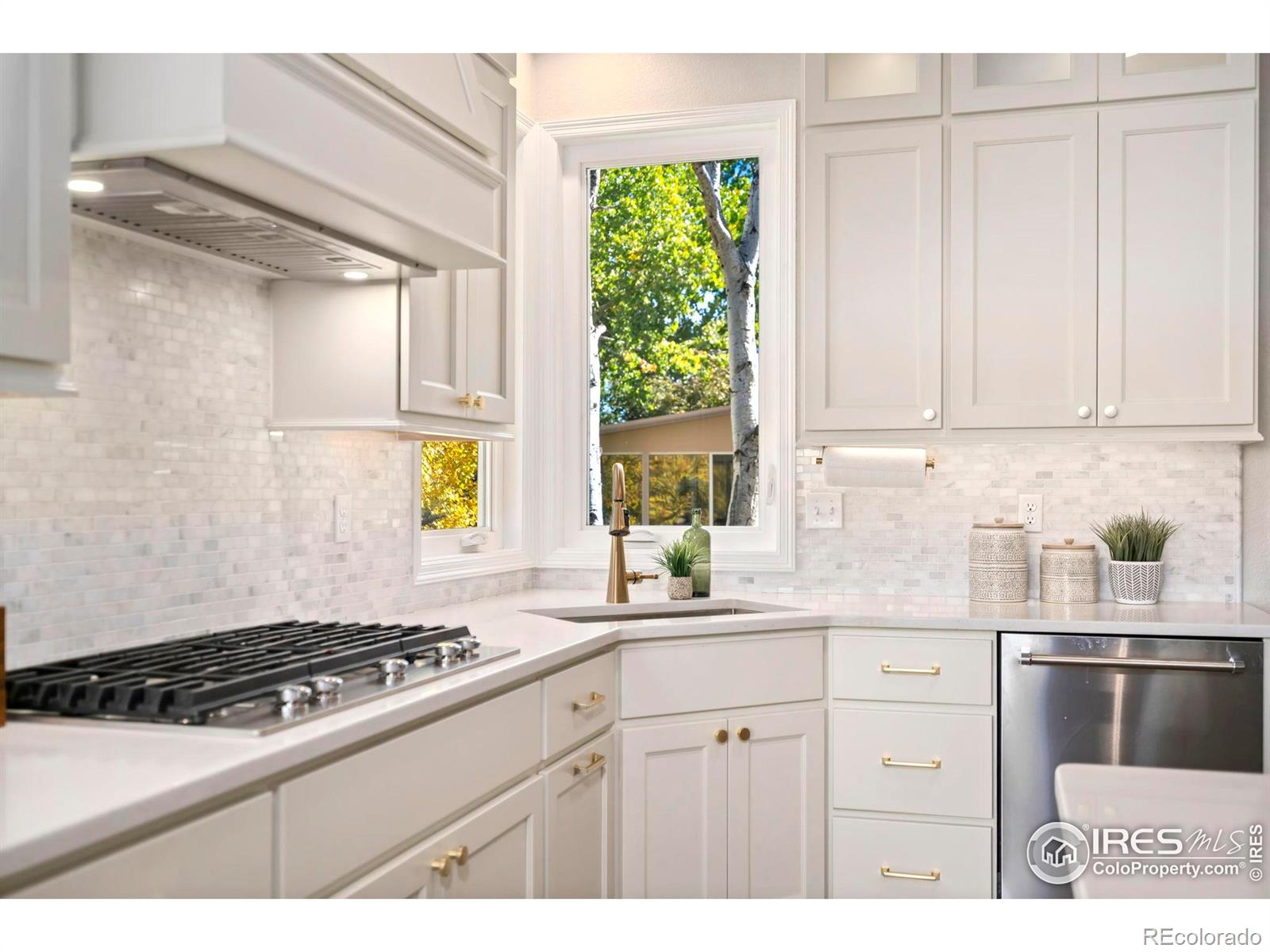 MLS Image #12 for 5256  augusta trail,fort collins, Colorado