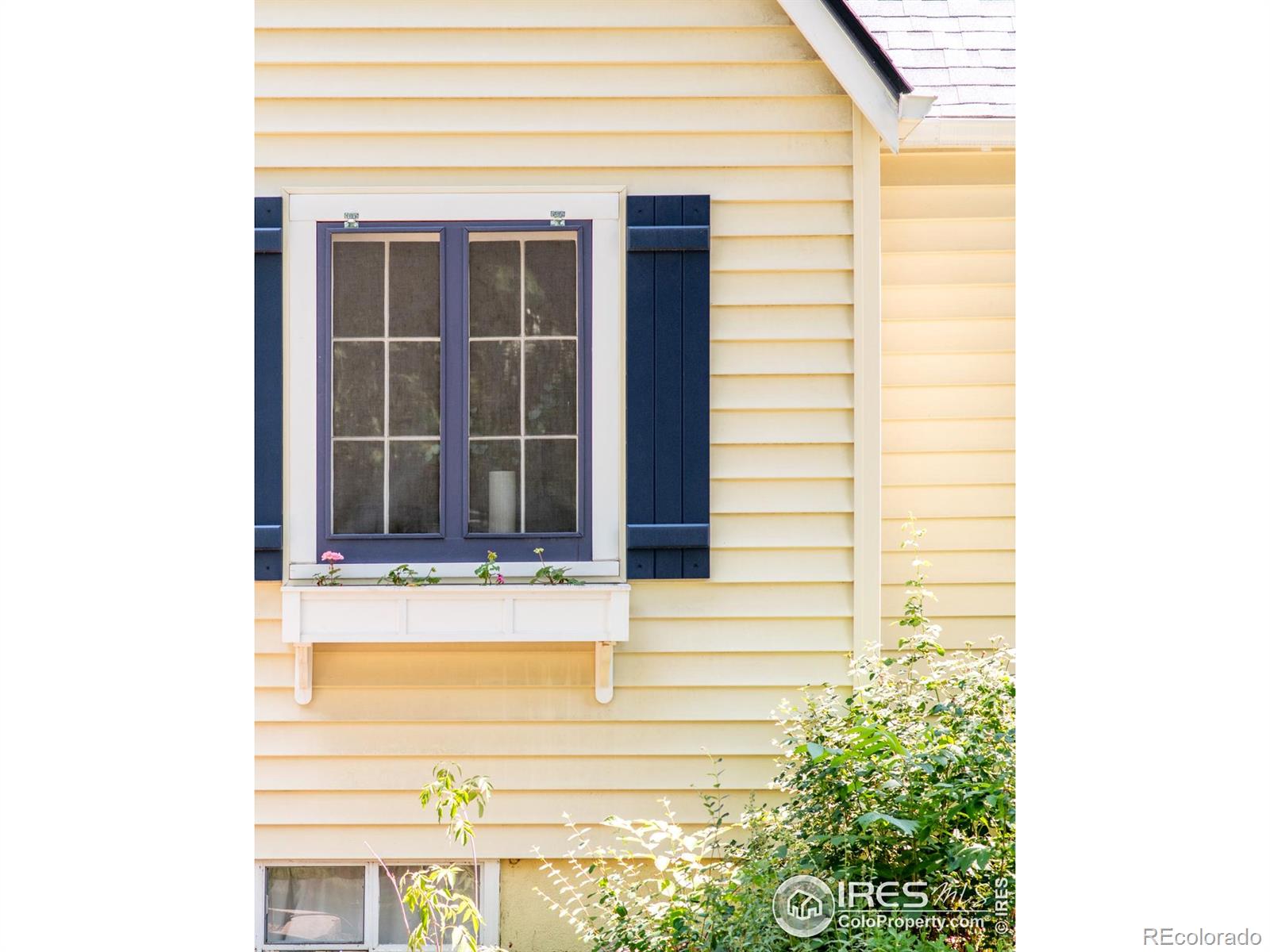 MLS Image #1 for 814  gay street,longmont, Colorado