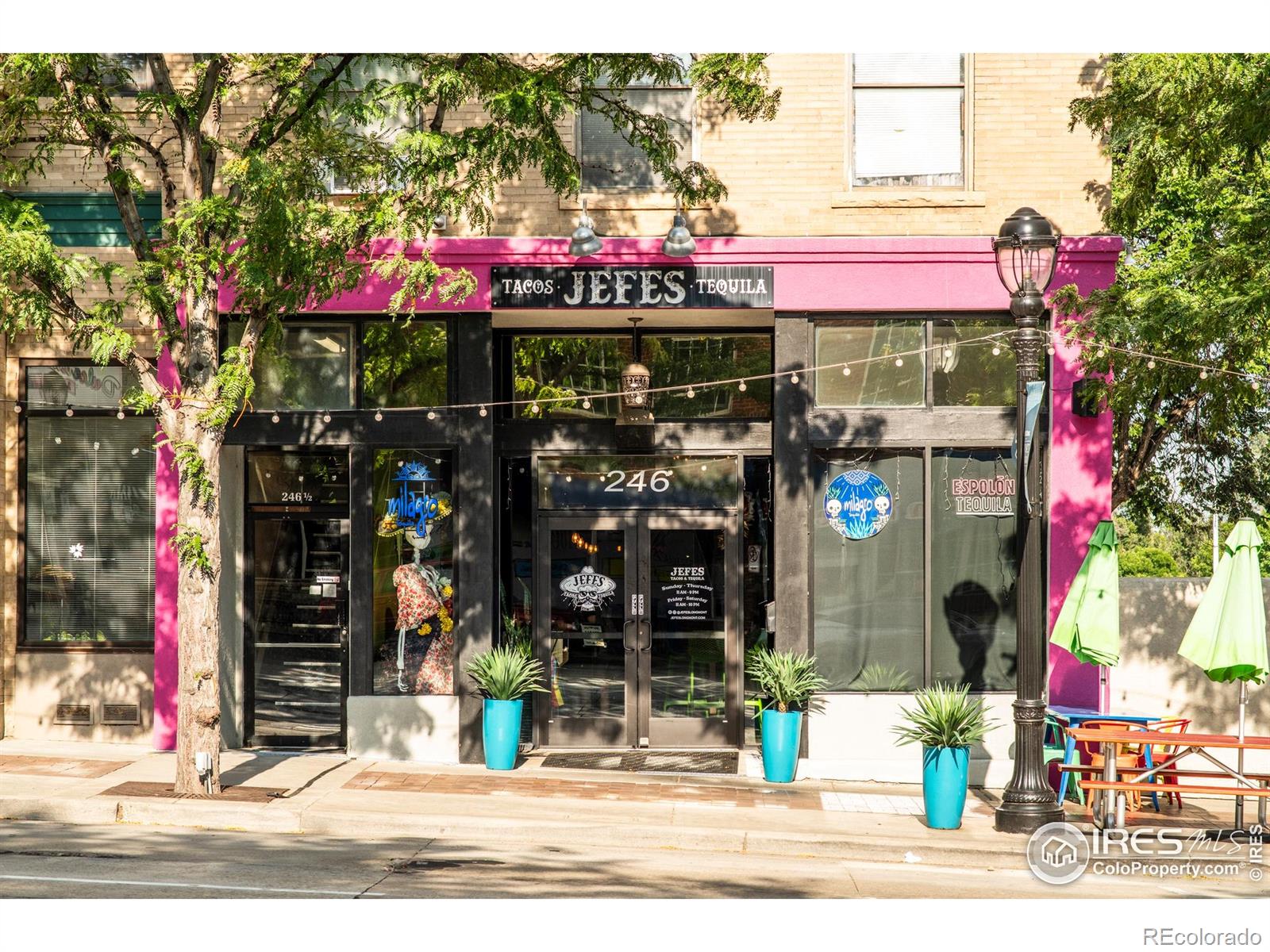 MLS Image #34 for 814  gay street,longmont, Colorado