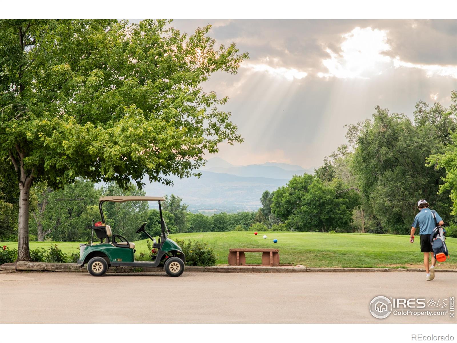MLS Image #41 for 814  gay street,longmont, Colorado