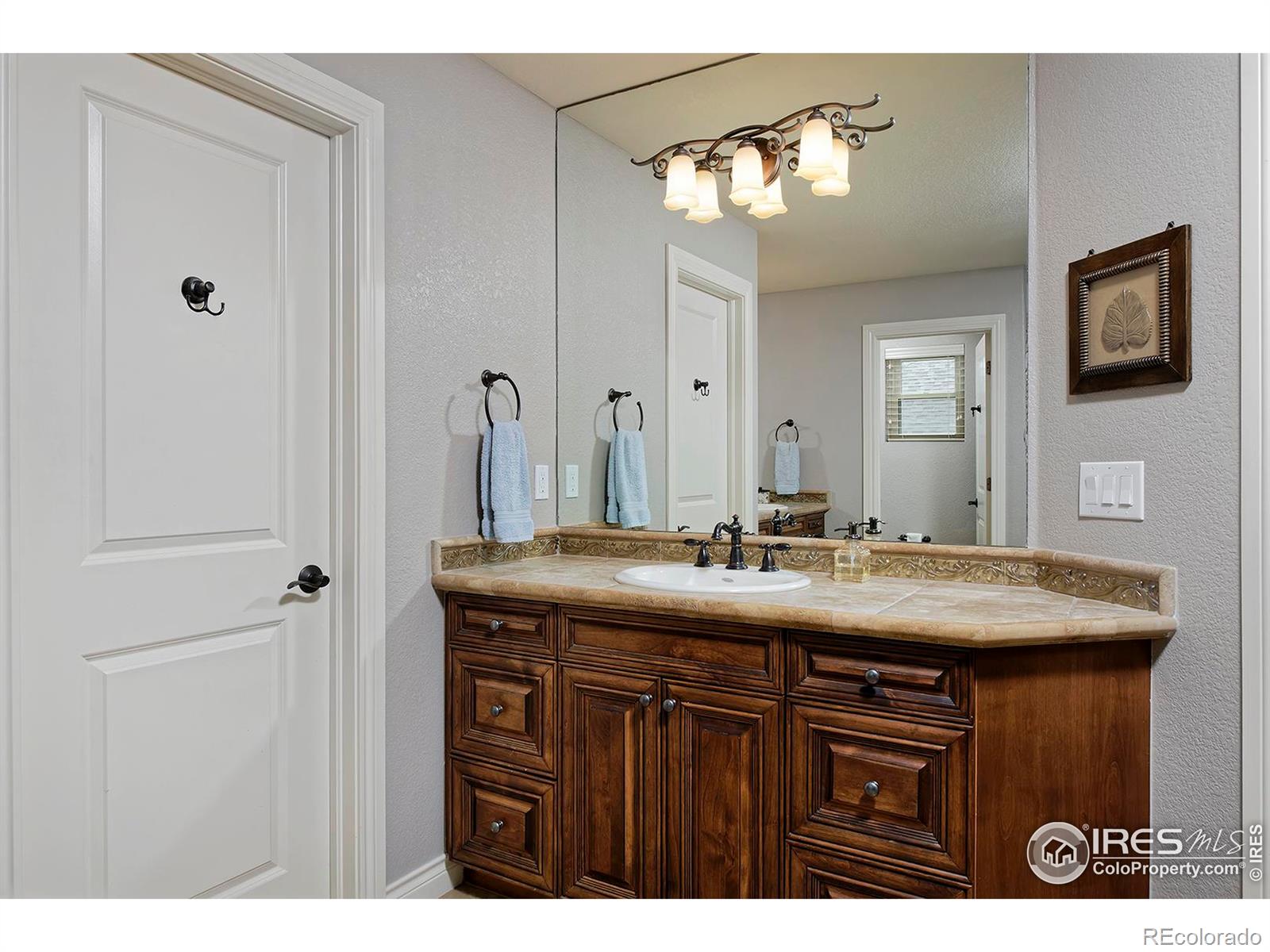 MLS Image #20 for 1556  stardance circle,longmont, Colorado