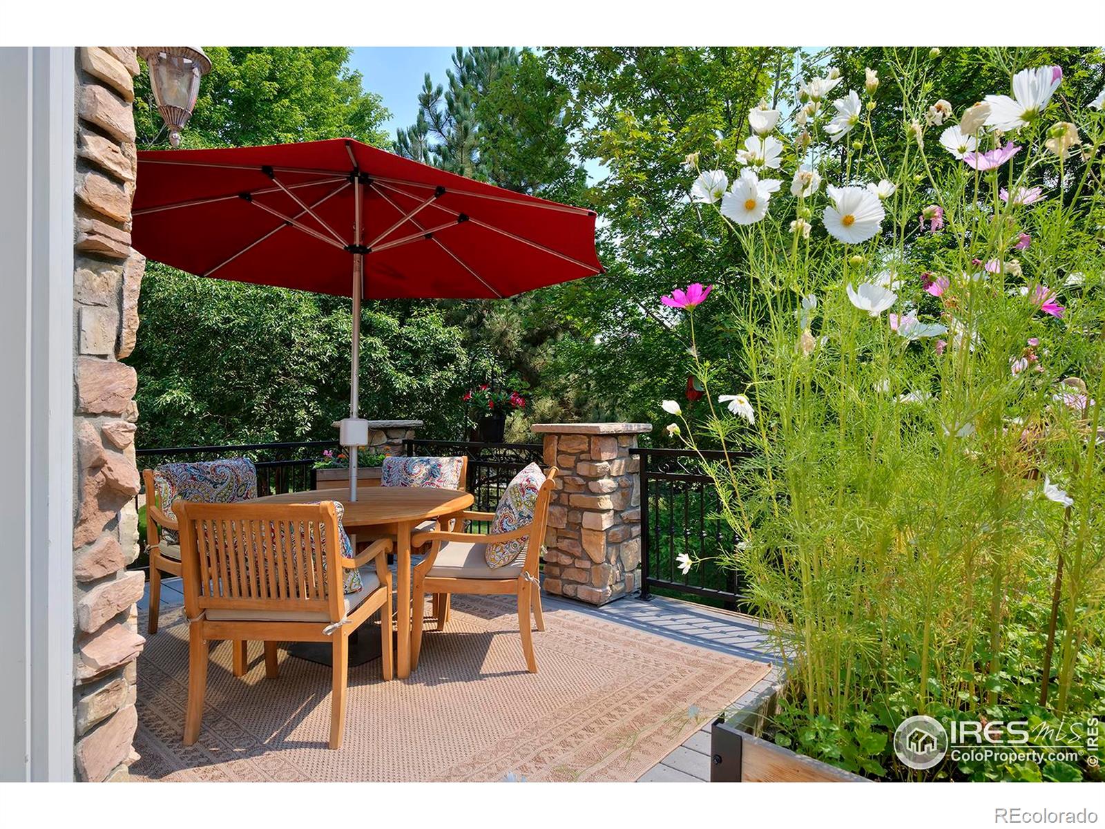 MLS Image #8 for 1556  stardance circle,longmont, Colorado