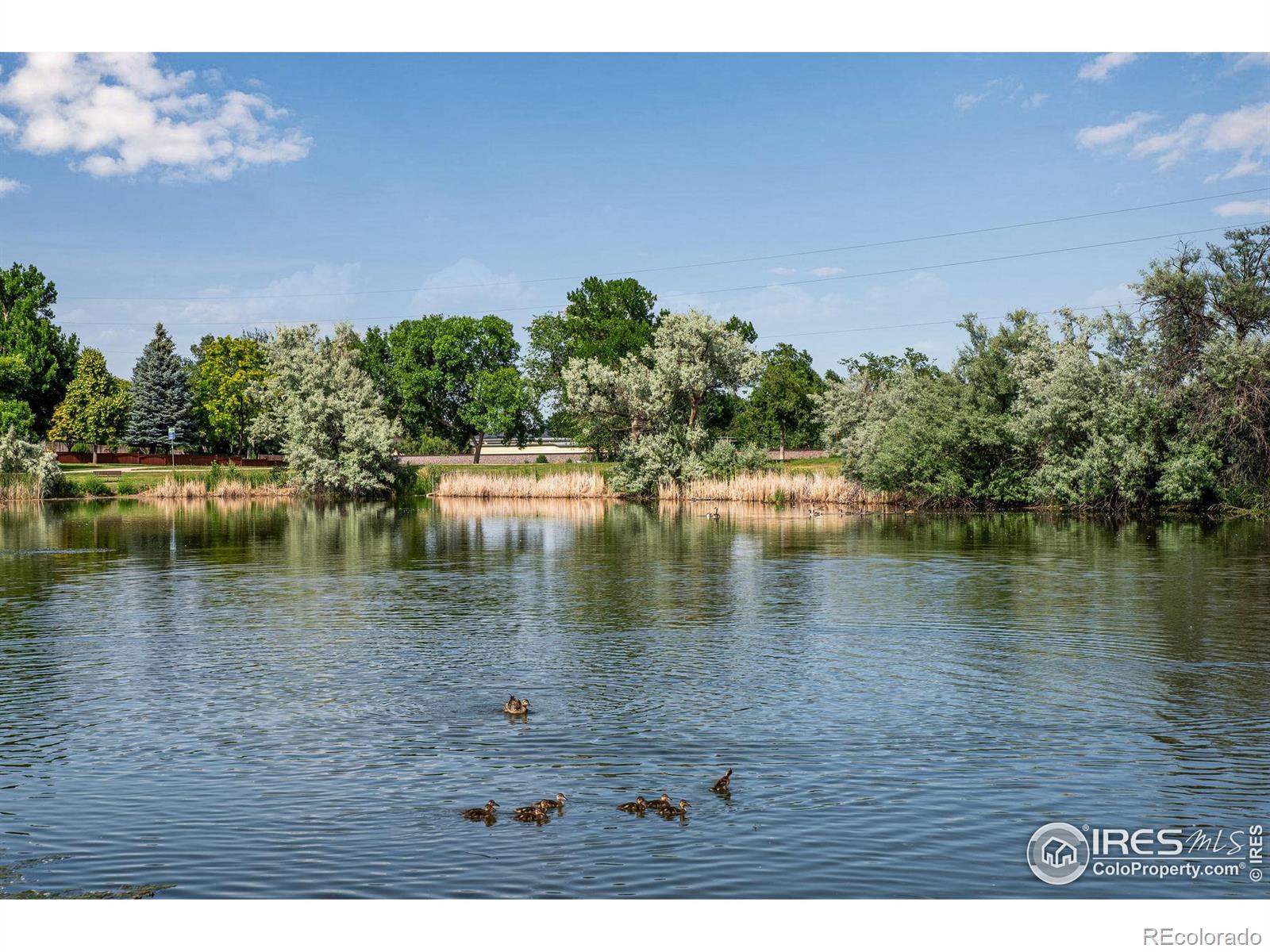 MLS Image #45 for 1673  shenandoah circle,fort collins, Colorado