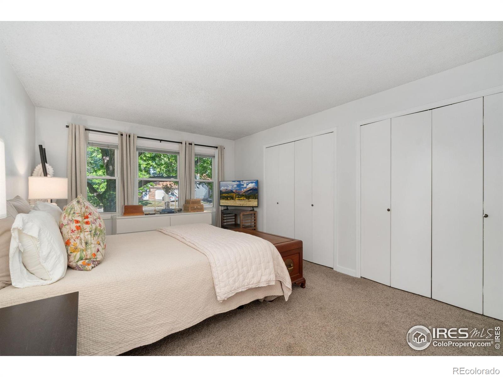 MLS Image #10 for 1569  wellington court,loveland, Colorado