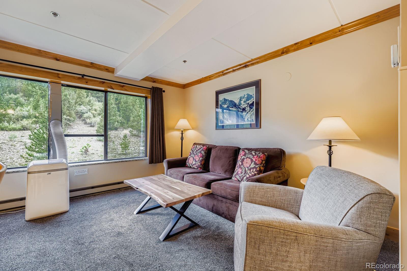 MLS Image #2 for 640  village road 4320,breckenridge, Colorado