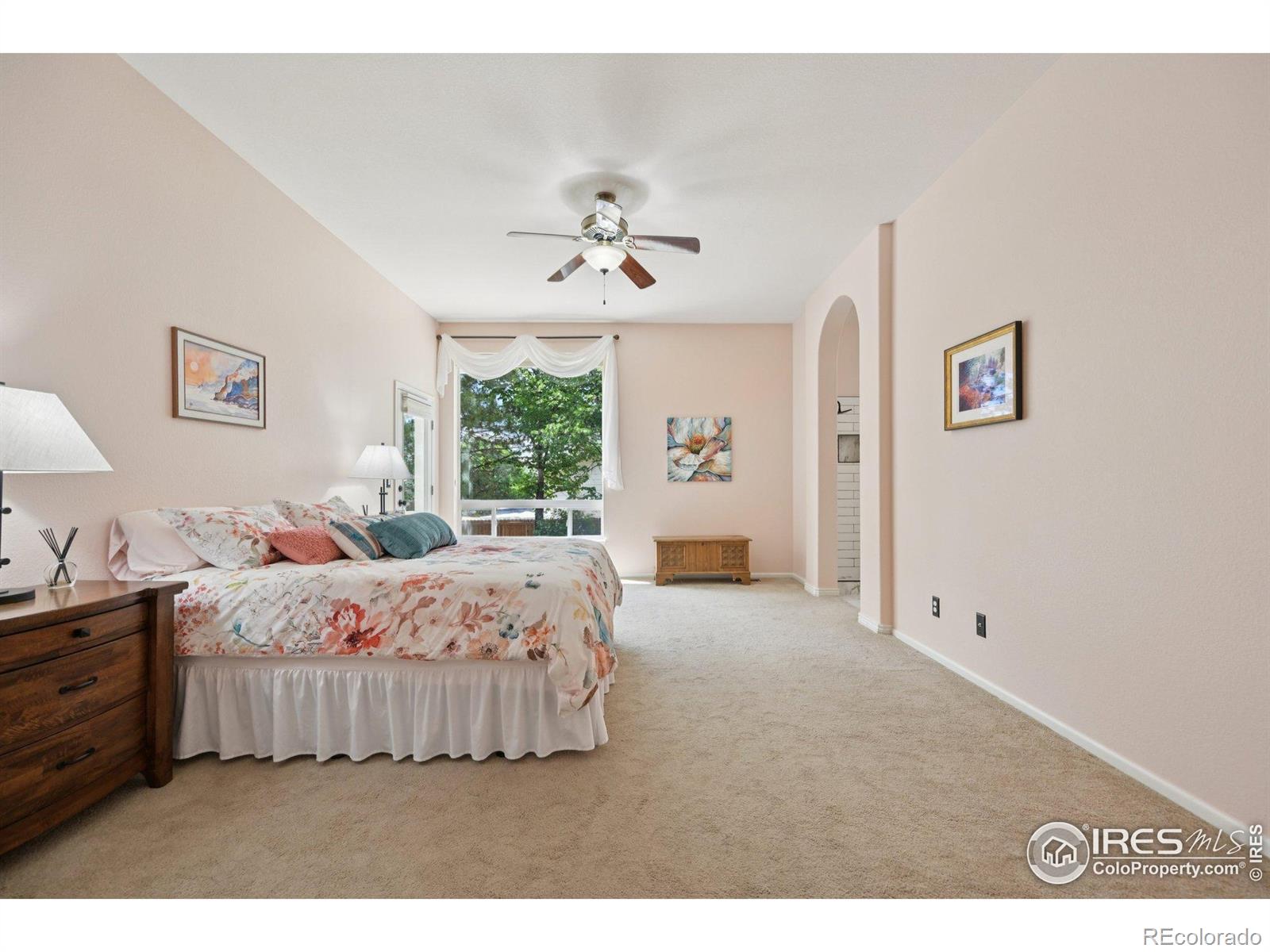MLS Image #20 for 3991  stampede drive,castle rock, Colorado