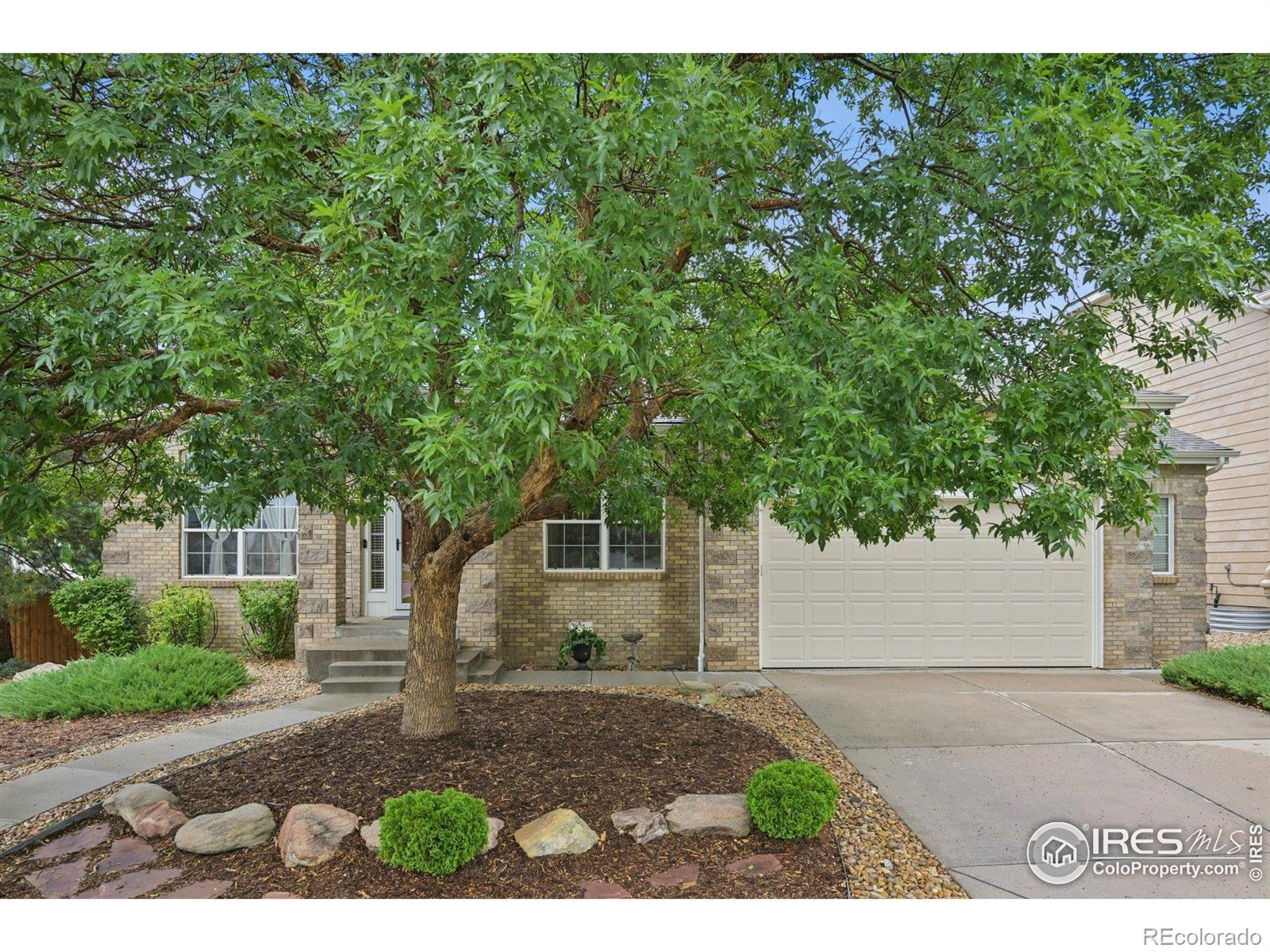 MLS Image #39 for 3991  stampede drive,castle rock, Colorado