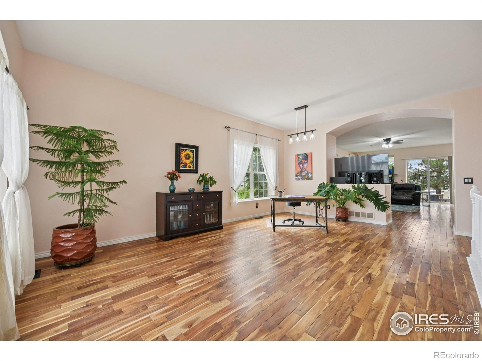 MLS Image #8 for 3991  stampede drive,castle rock, Colorado