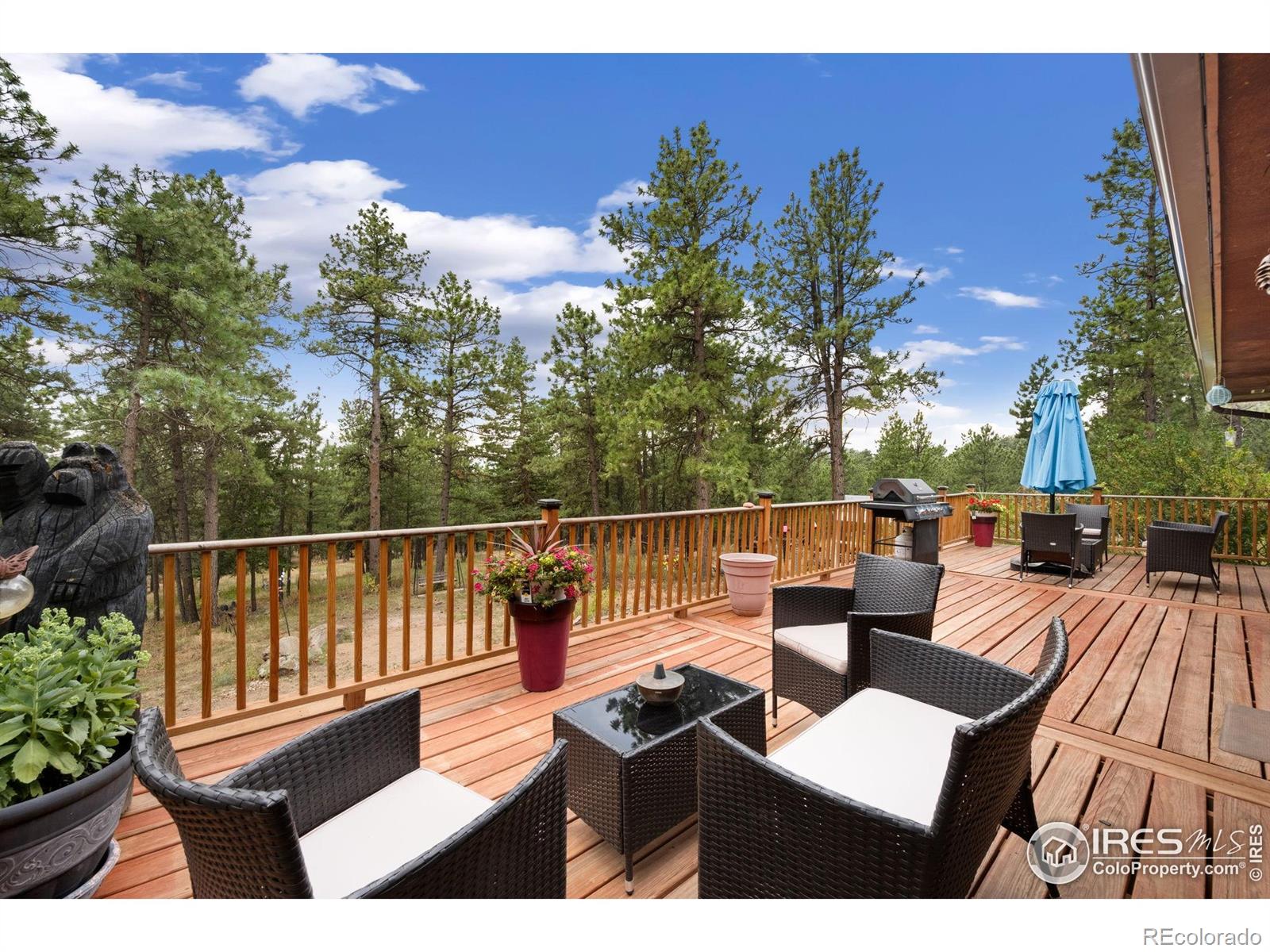 MLS Image #16 for 269  cox court,bellvue, Colorado