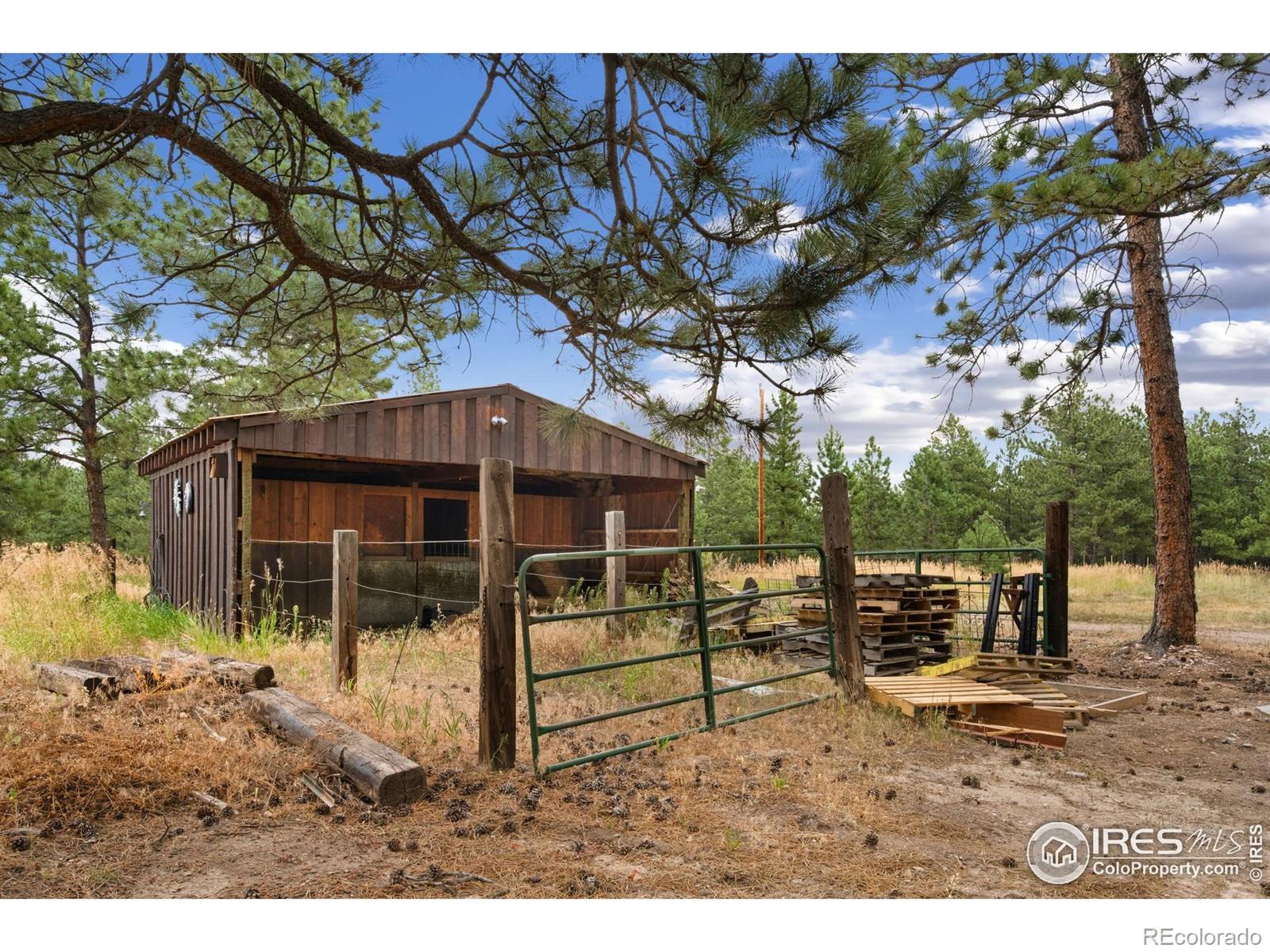 MLS Image #38 for 269  cox court,bellvue, Colorado