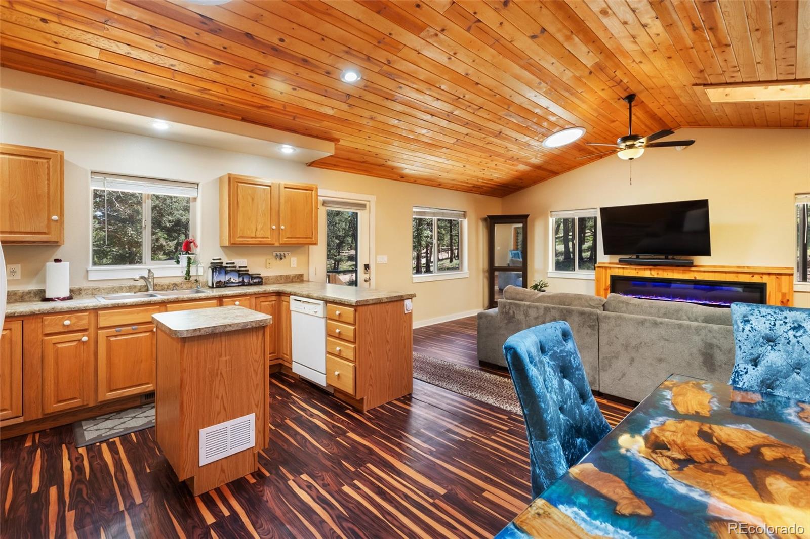 MLS Image #13 for 234  wasatch lane,florissant, Colorado
