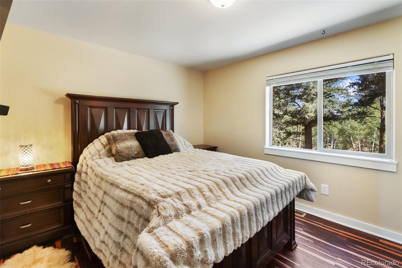 MLS Image #16 for 234  wasatch lane,florissant, Colorado