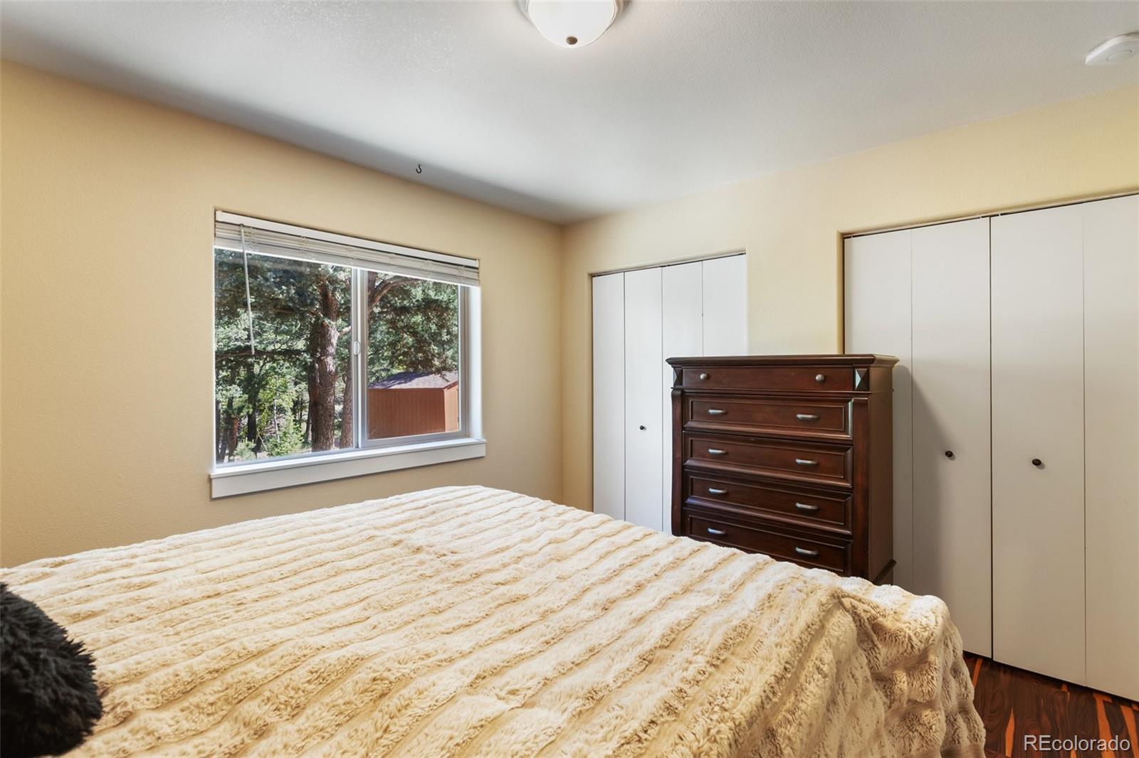 MLS Image #18 for 234  wasatch lane,florissant, Colorado