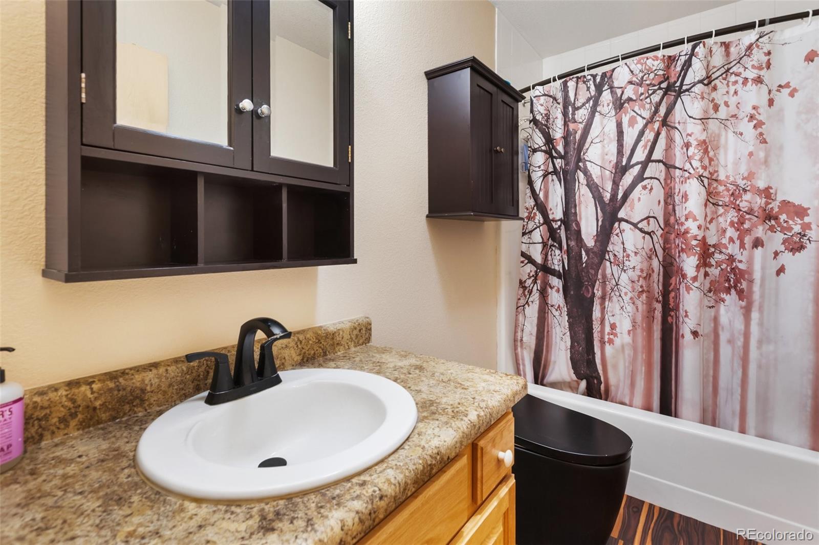 MLS Image #20 for 234  wasatch lane,florissant, Colorado