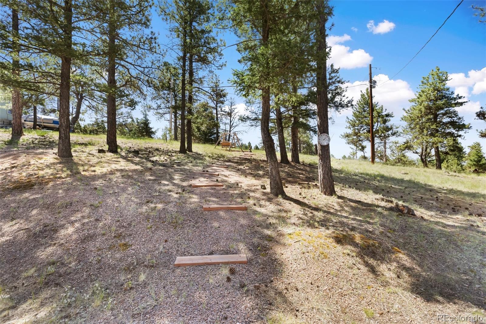 MLS Image #21 for 234  wasatch lane,florissant, Colorado