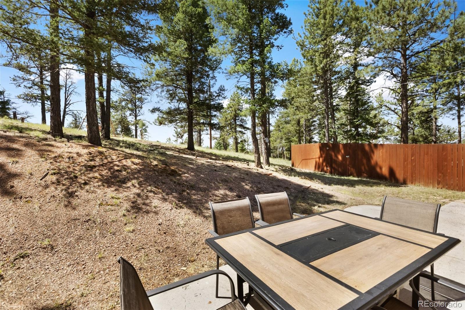 MLS Image #27 for 234  wasatch lane,florissant, Colorado