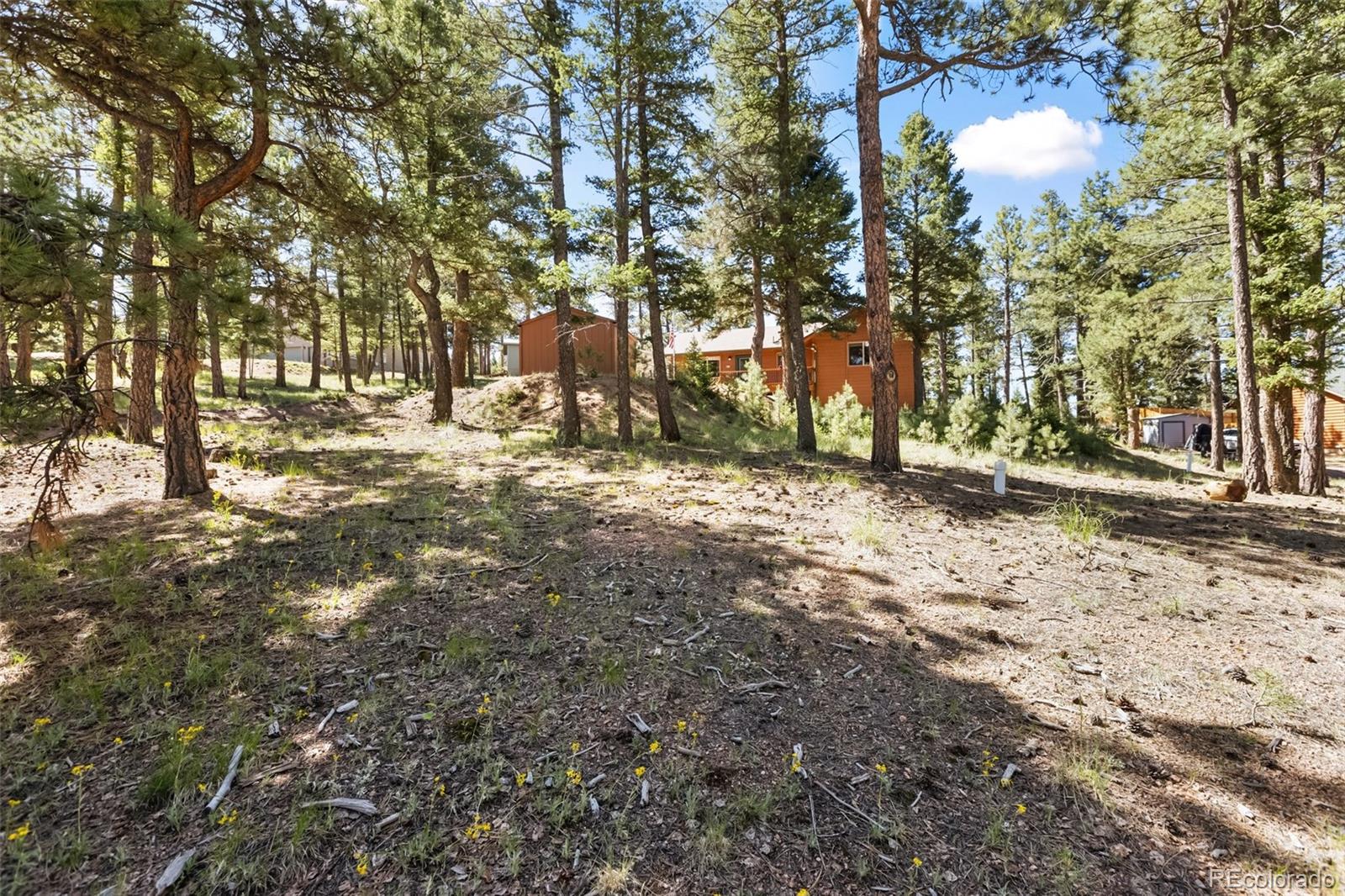 MLS Image #28 for 234  wasatch lane,florissant, Colorado