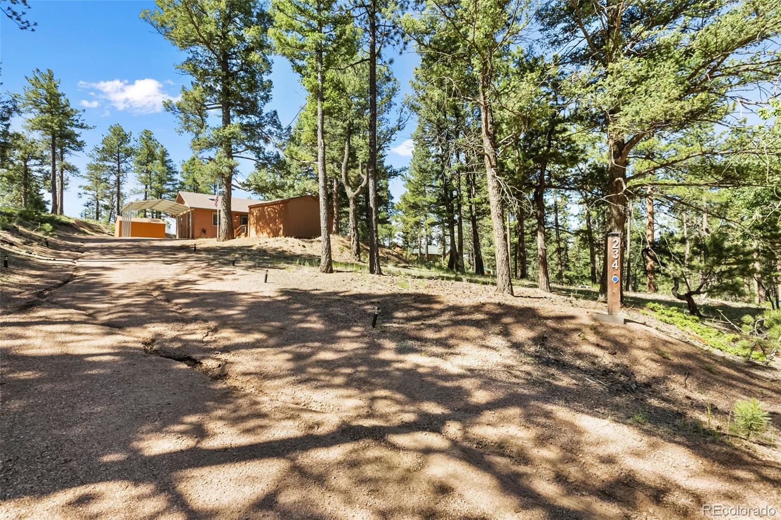MLS Image #29 for 234  wasatch lane,florissant, Colorado