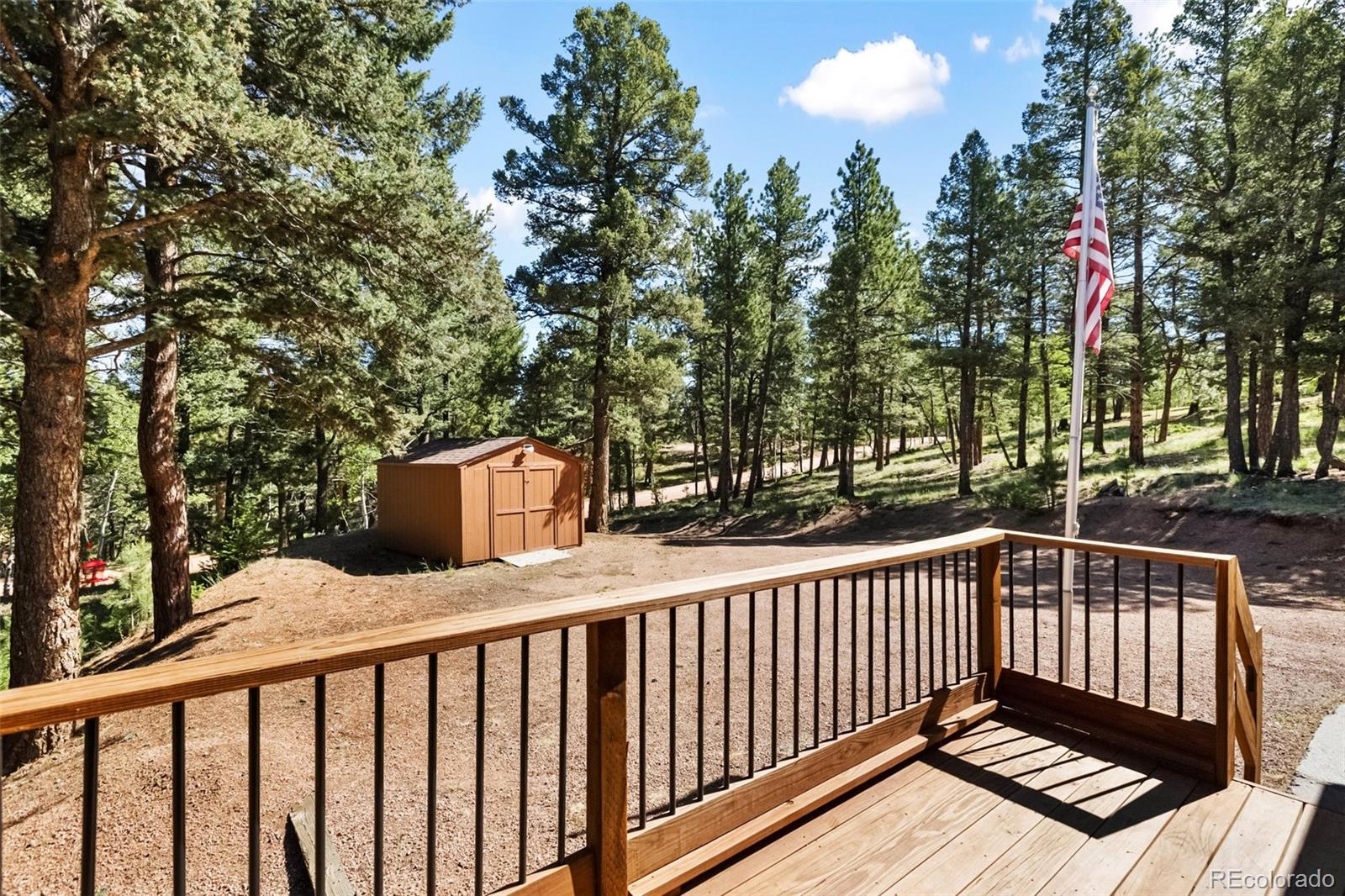 MLS Image #3 for 234  wasatch lane,florissant, Colorado