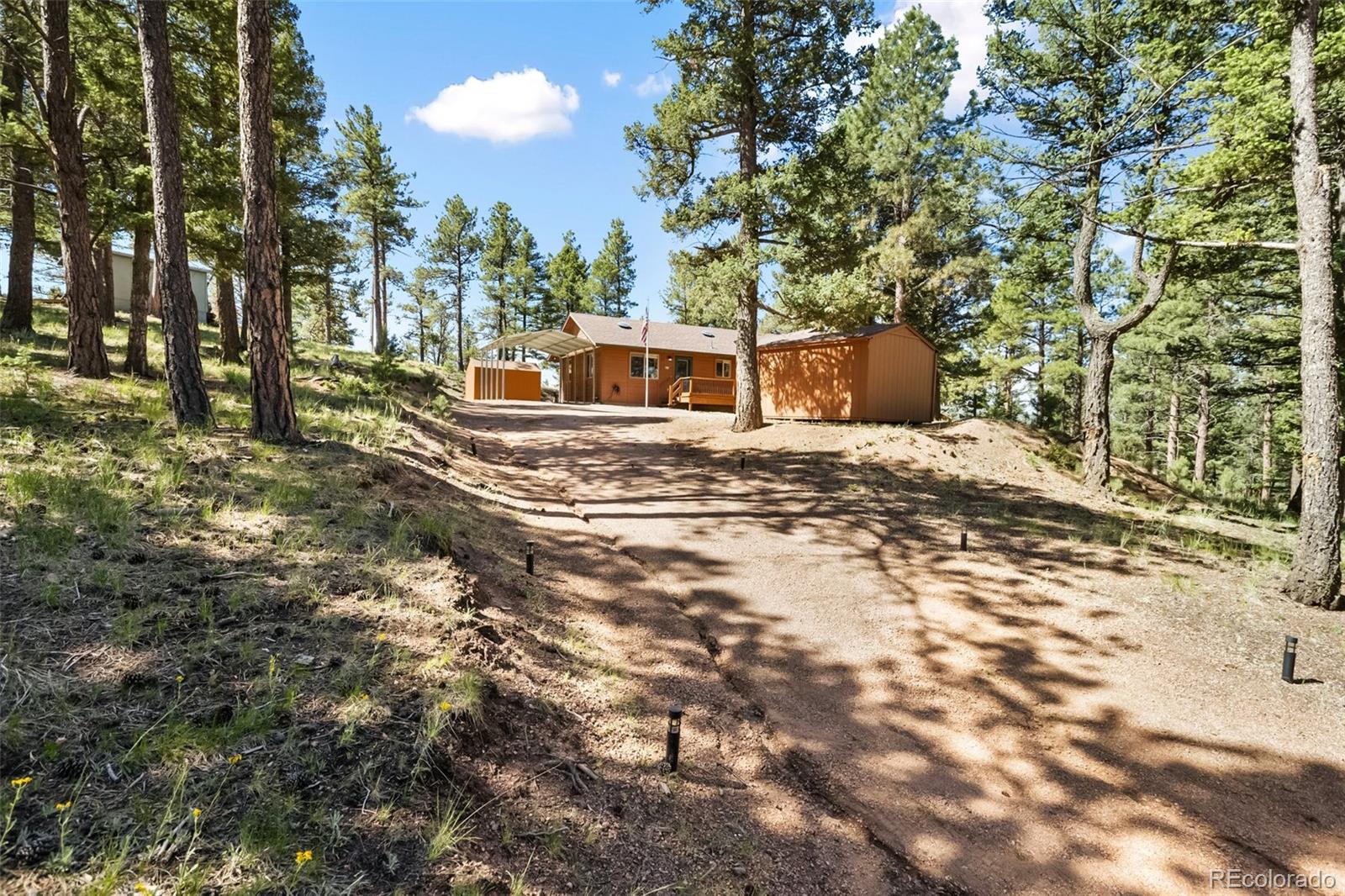 MLS Image #34 for 234  wasatch lane,florissant, Colorado