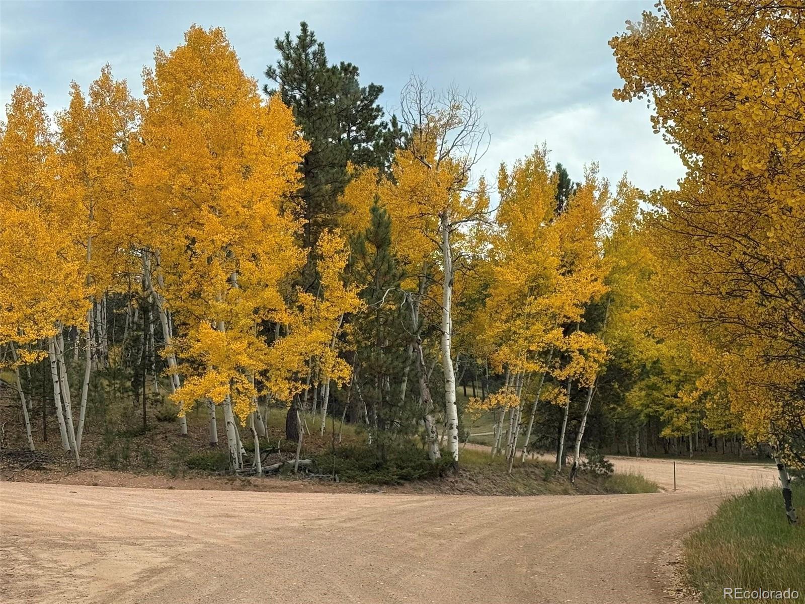 MLS Image #40 for 234  wasatch lane,florissant, Colorado