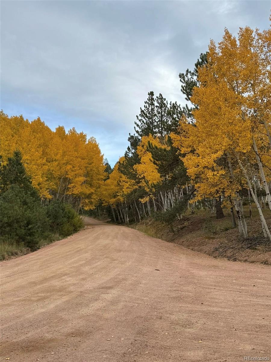 MLS Image #43 for 234  wasatch lane,florissant, Colorado