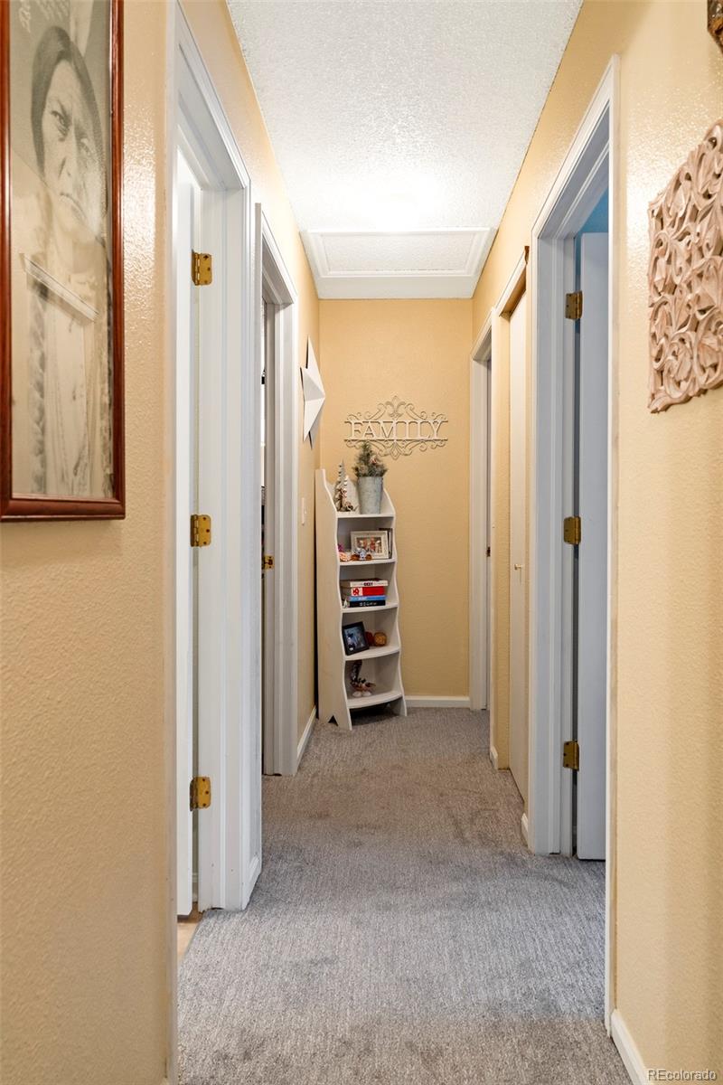 MLS Image #14 for 157 s quicksilver avenue,castle rock, Colorado