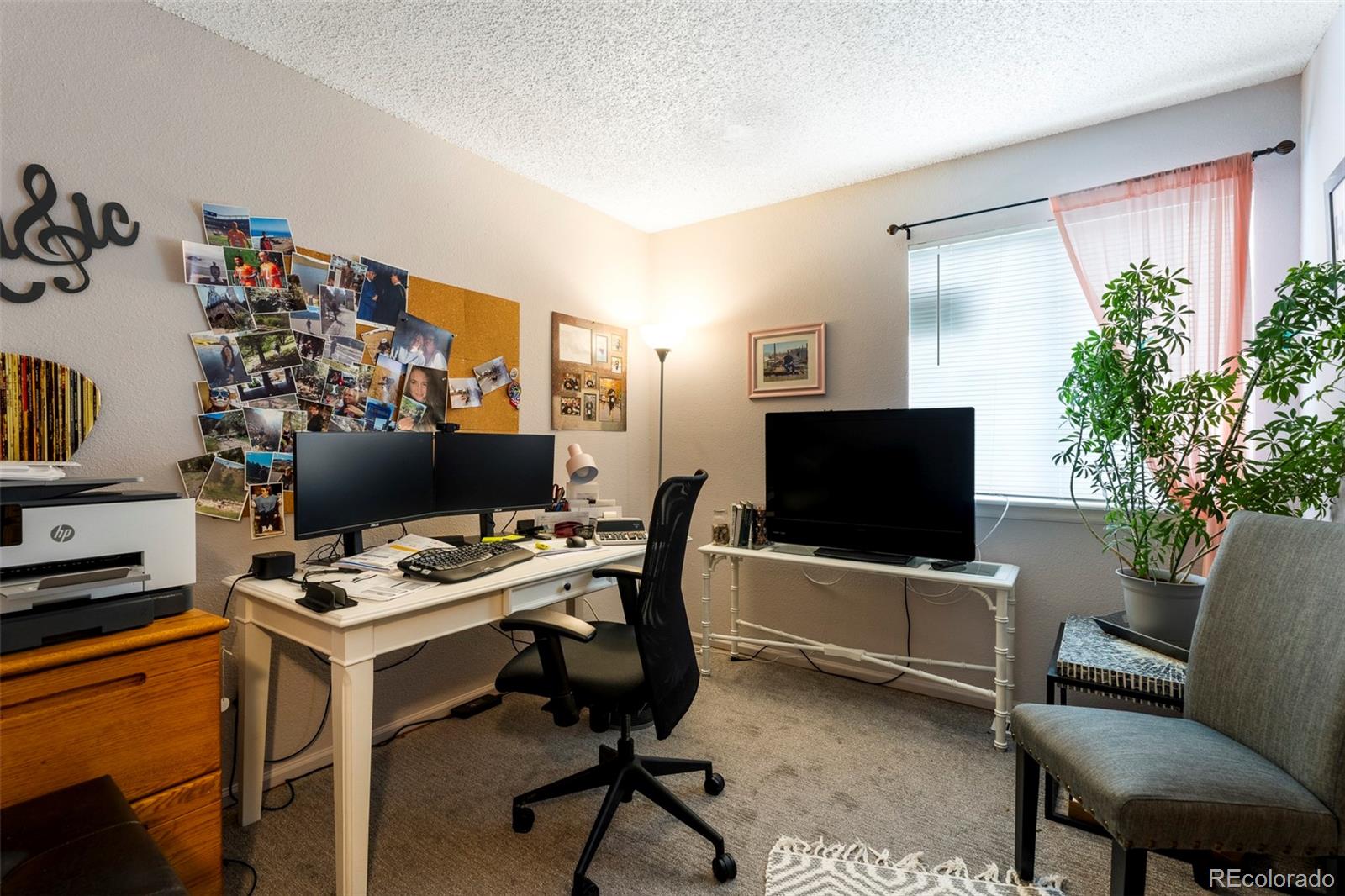 MLS Image #18 for 157 s quicksilver avenue,castle rock, Colorado