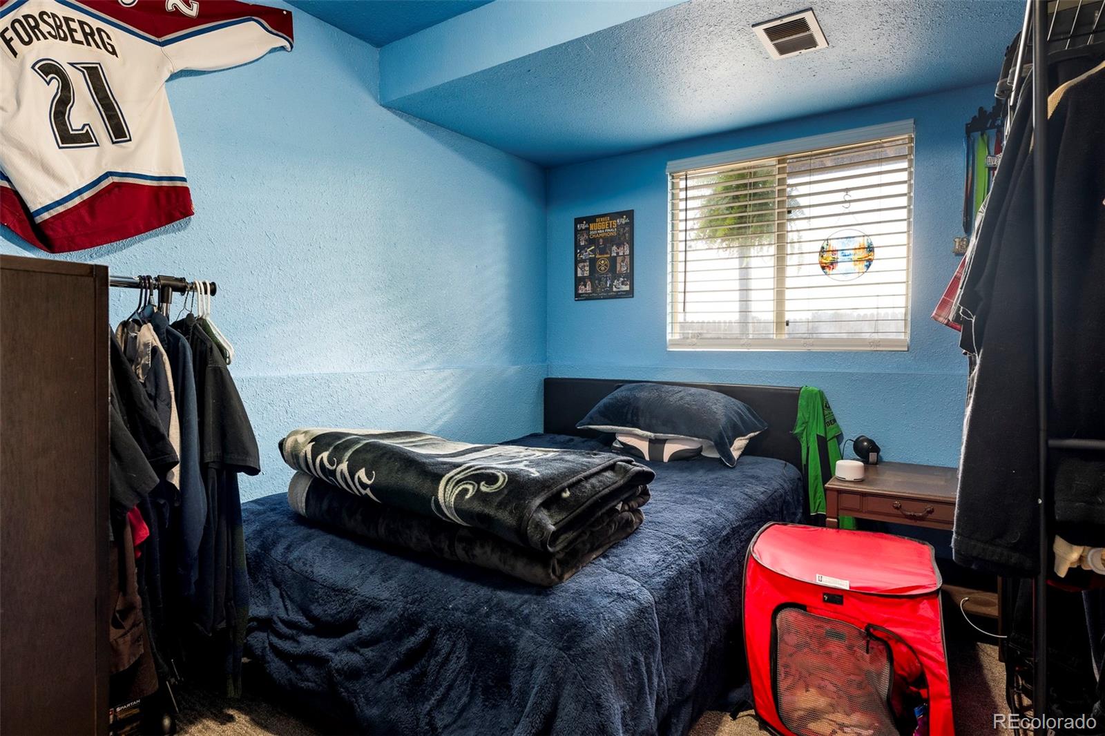 MLS Image #23 for 157 s quicksilver avenue,castle rock, Colorado