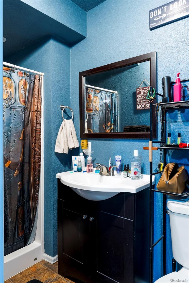 MLS Image #24 for 157 s quicksilver avenue,castle rock, Colorado