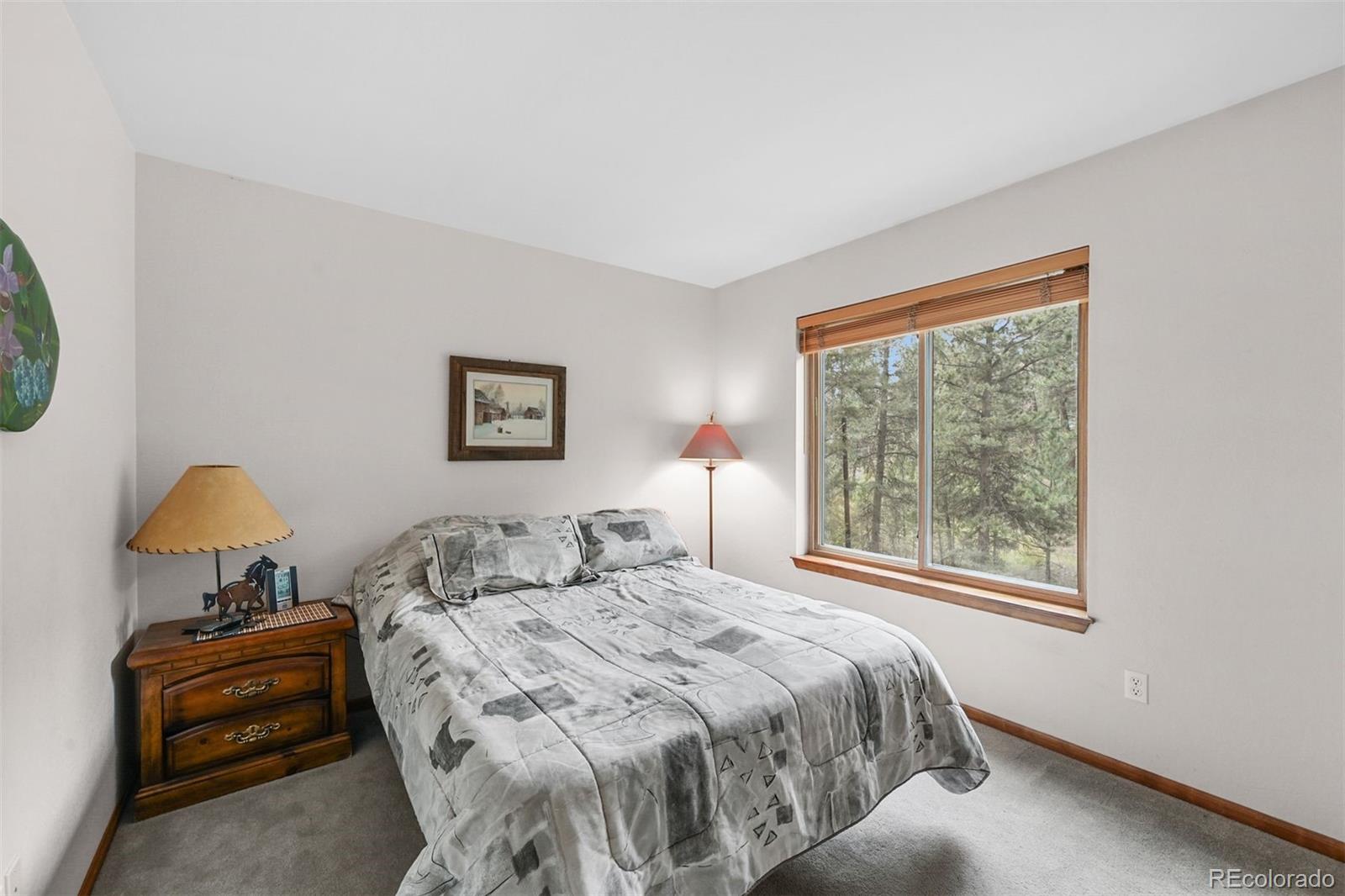 MLS Image #18 for 12650  elk haven lane,conifer, Colorado