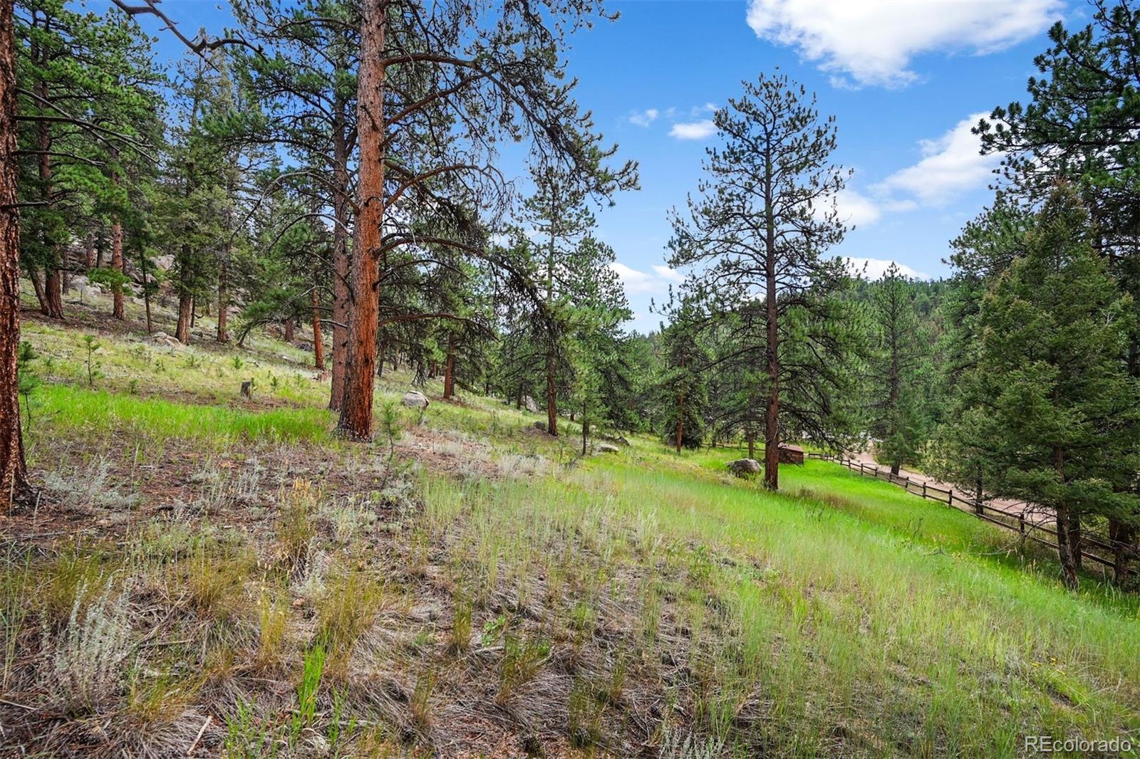 MLS Image #6 for 12650  elk haven lane,conifer, Colorado