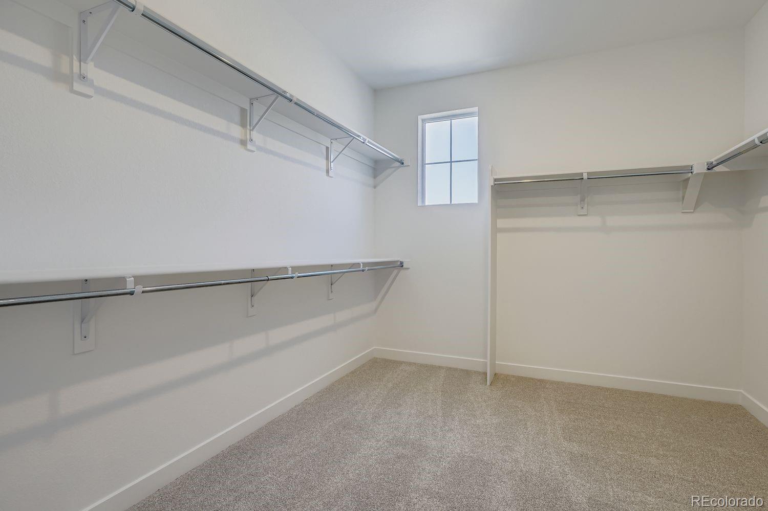 MLS Image #12 for 3932  buttongrass trail,castle rock, Colorado