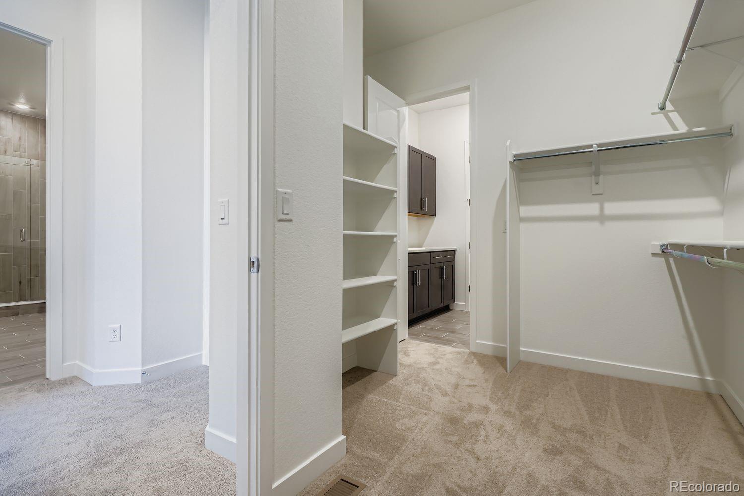 MLS Image #12 for 4177  descent street,castle rock, Colorado