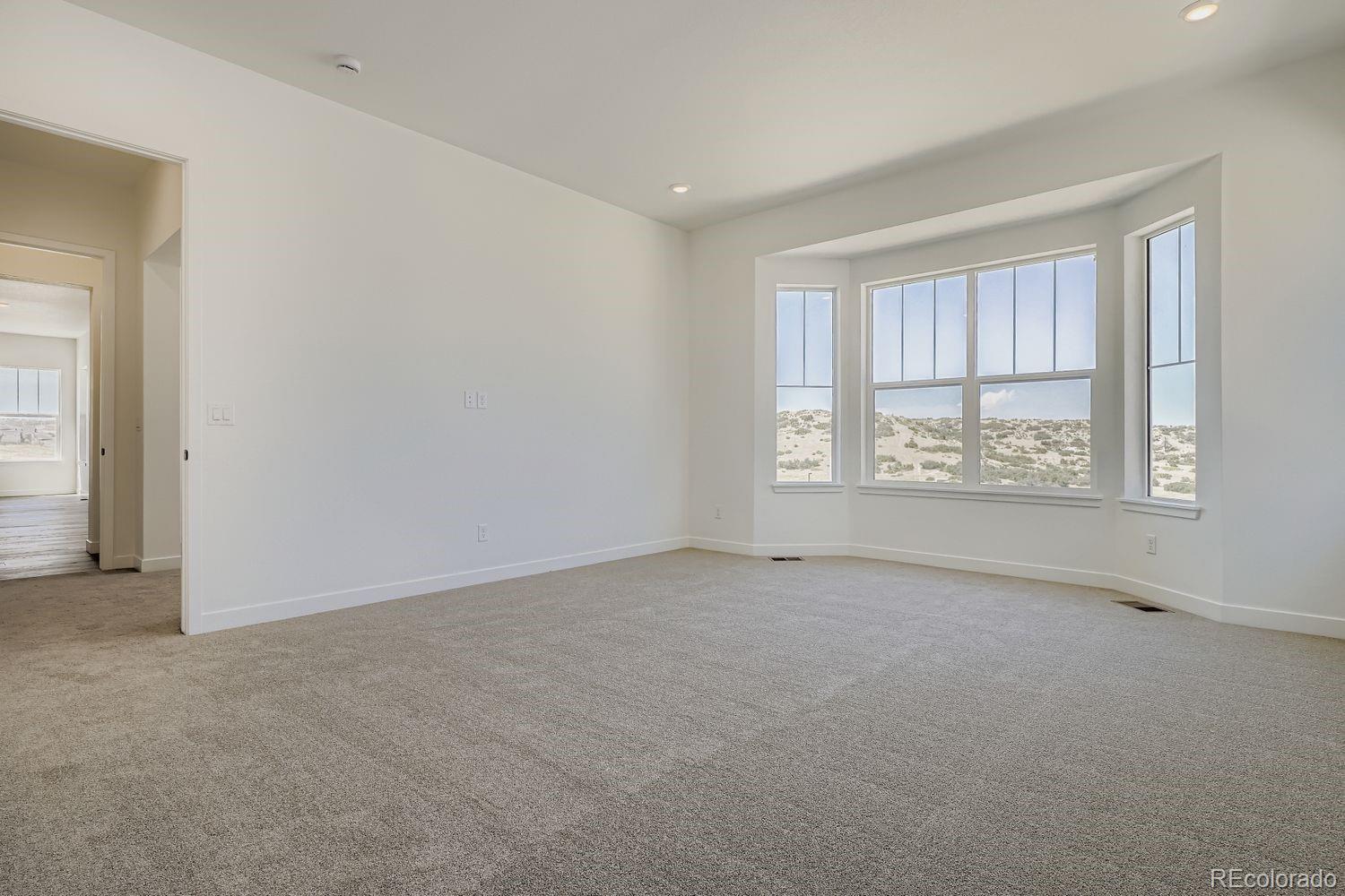 MLS Image #14 for 4177  descent street,castle rock, Colorado