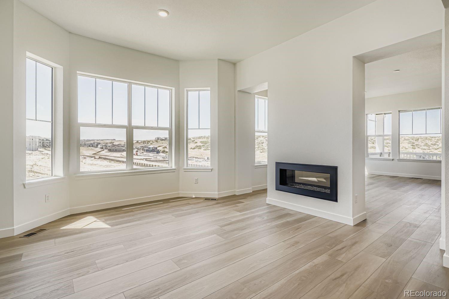 MLS Image #4 for 4177  descent street,castle rock, Colorado