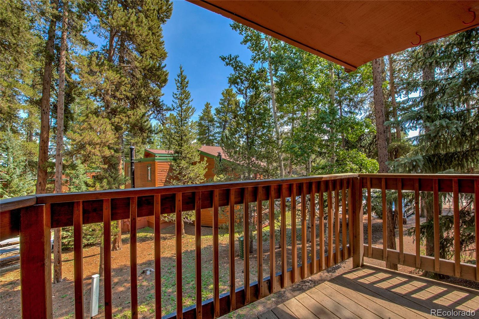 MLS Image #19 for 1120  ski hill road 16,breckenridge, Colorado