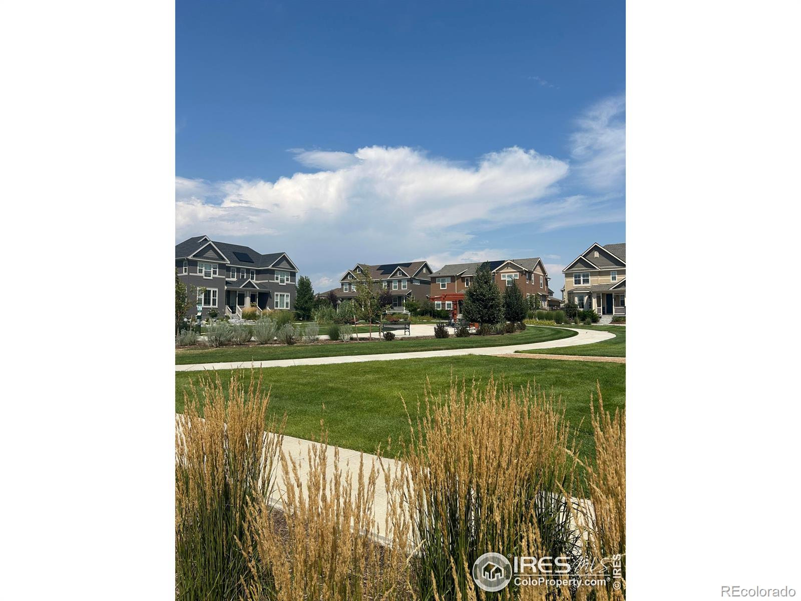 MLS Image #39 for 599  greenville alley,erie, Colorado