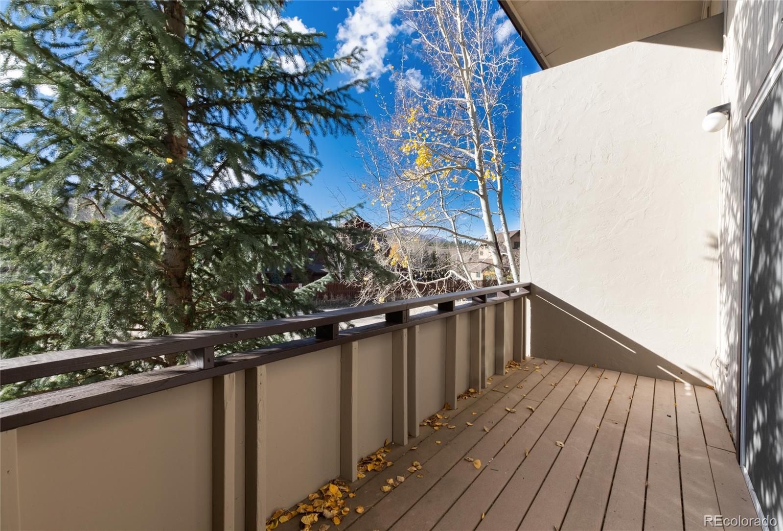 MLS Image #18 for 163  high tor road 2,breckenridge, Colorado