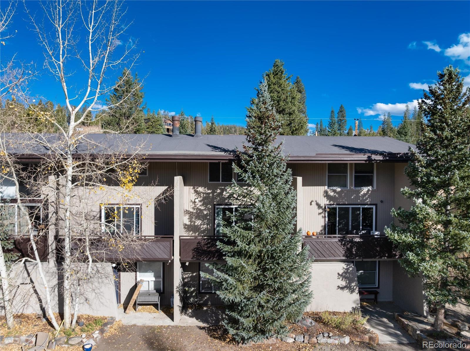 MLS Image #32 for 163  high tor road 2,breckenridge, Colorado