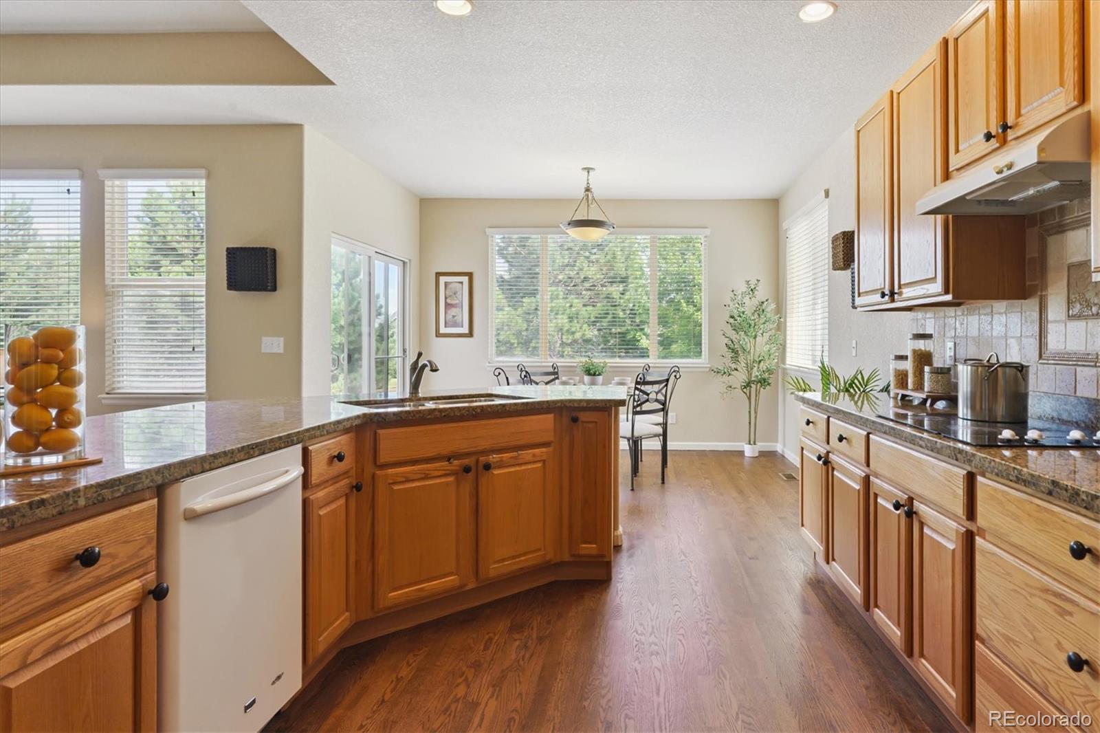 MLS Image #14 for 5169  fairfield circle,castle rock, Colorado